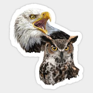 American Pigargo and American Owl Sticker